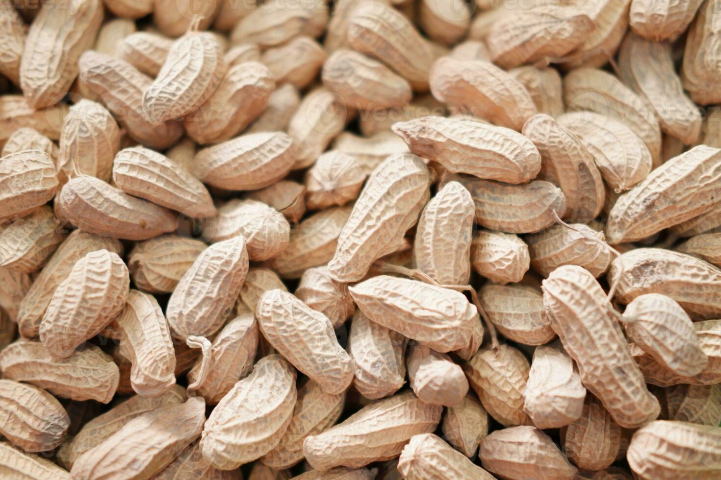 Peanuts in the shell on the wooden background. Close up. photo
