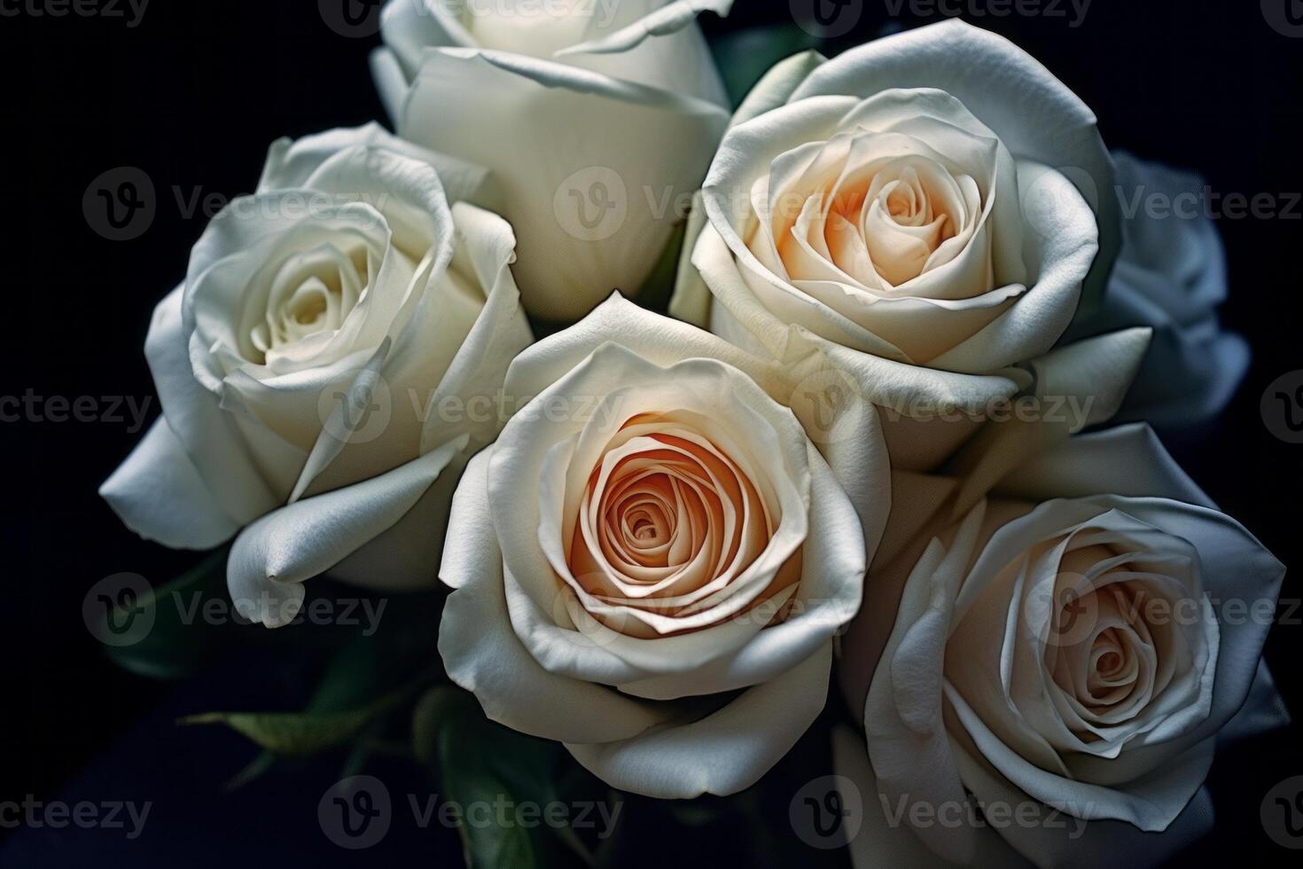 White Rose Texture Background photo
