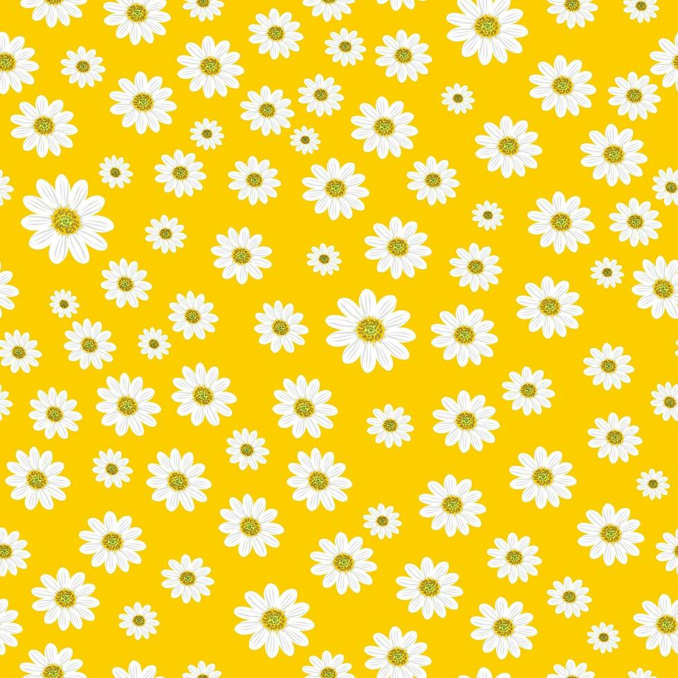 Wild chamomile flowers on a yellow background create a seamless summer pattern with large white flowers for textile. Vector. vector