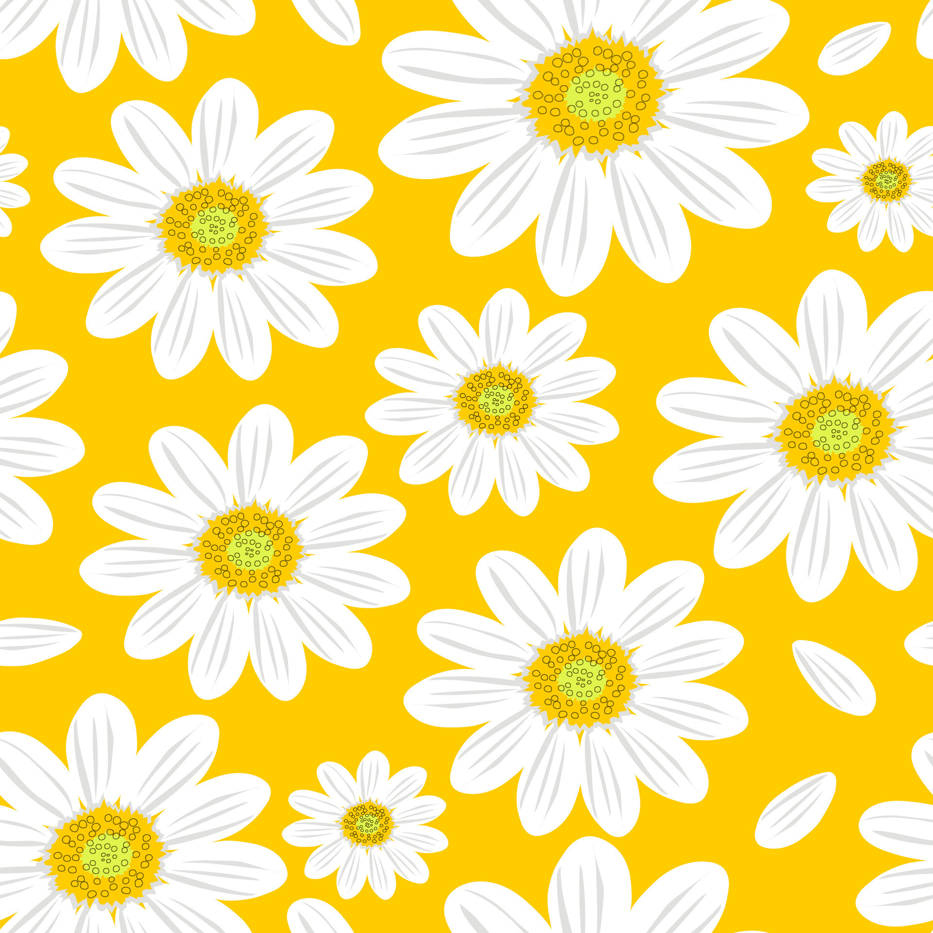Seamless spring pattern with simple chamomile on yellow background