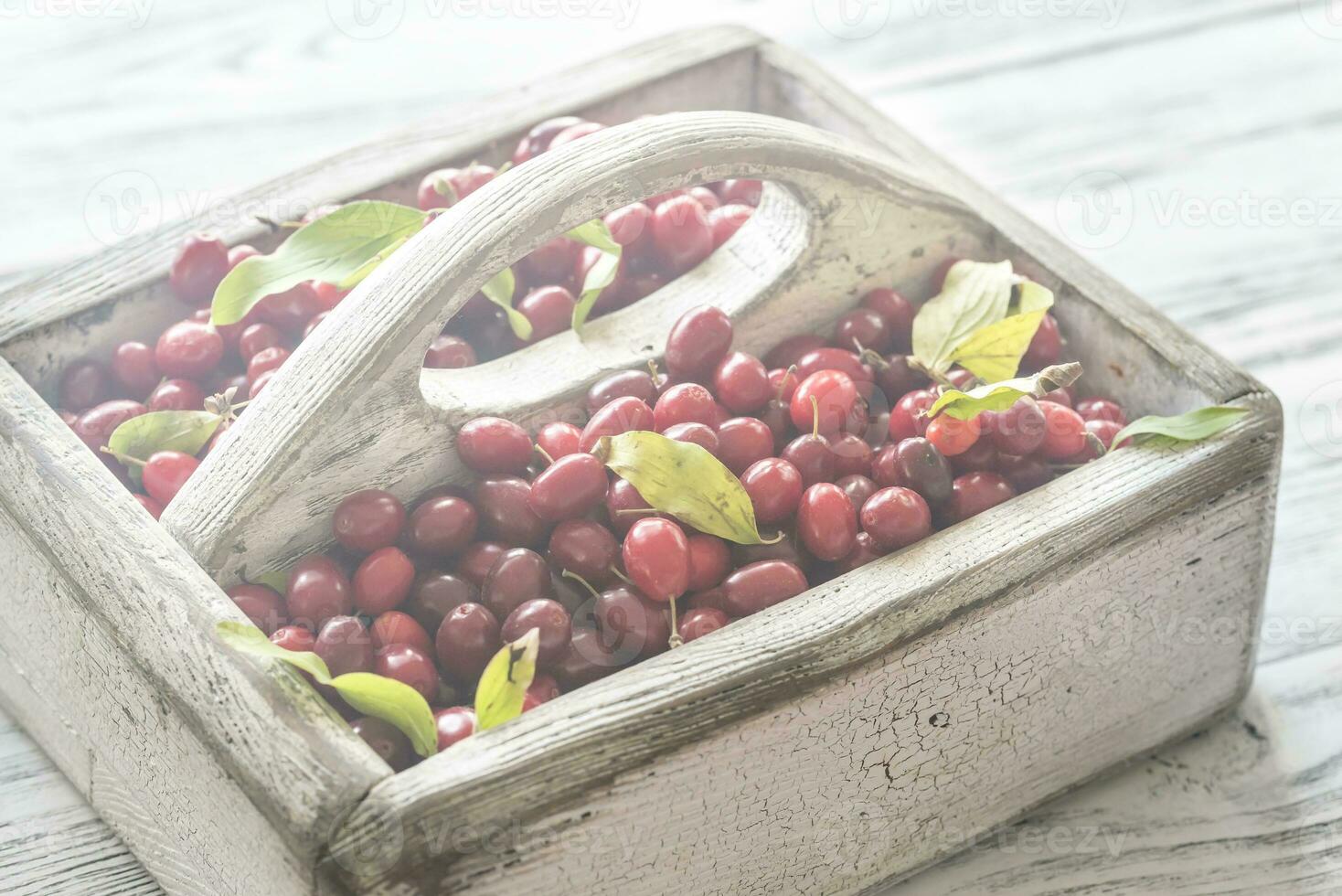 Dogwood berries in the basket photo