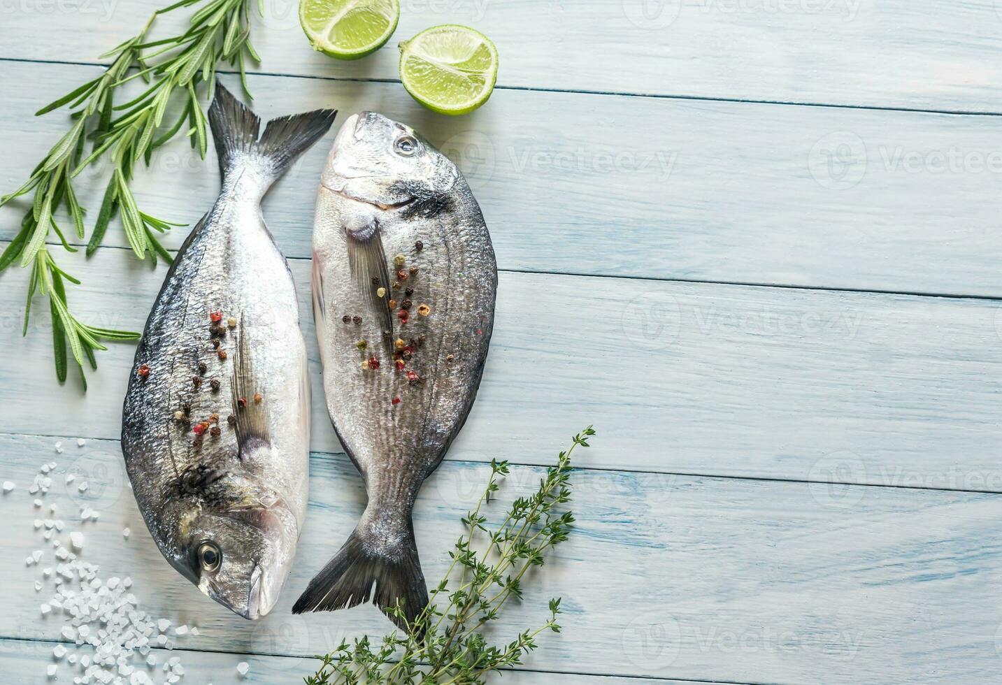 Dorade Royale Fish photo