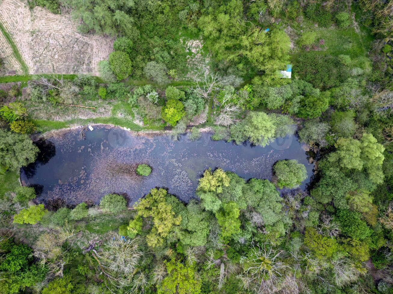 Aerial photograph of a small fishing lake photo