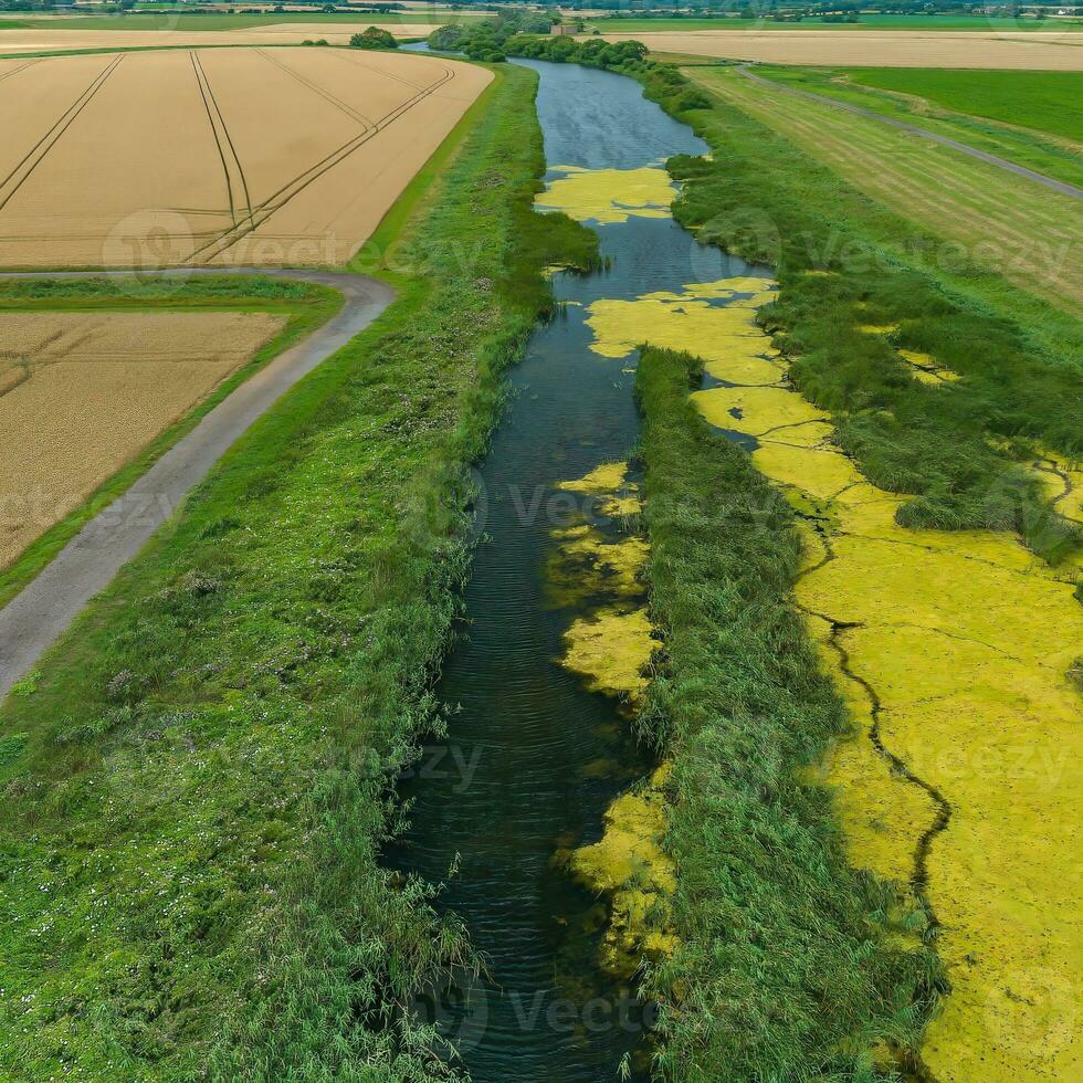 Algae covered stream aerial view photo