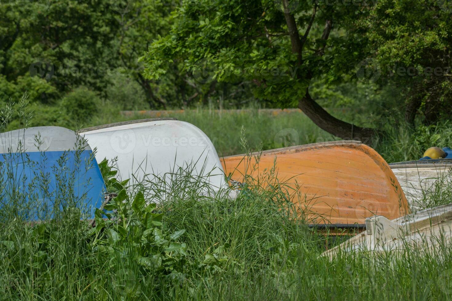 Upturned dinghies in tall grass photo