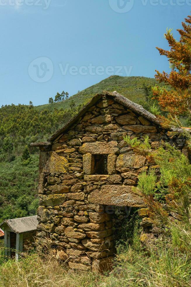 Ruins of an old house in the green valley of albergaria da Serra, Portugal. photo
