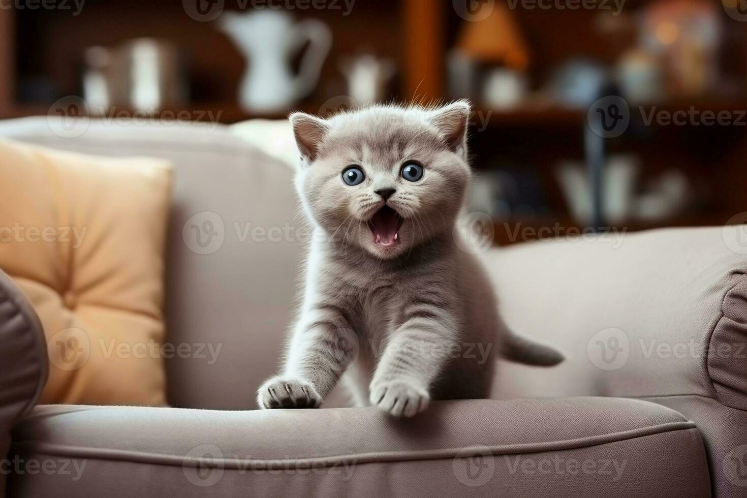 Domestic Animal Concept. Portrait of cute kitten in living room at home. free copy space photo