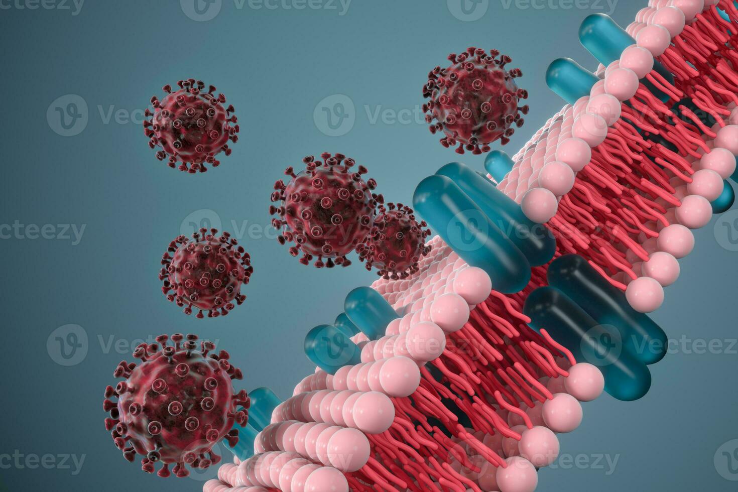 Cell membrane and coronavirus, medical concept, 3d rendering. photo