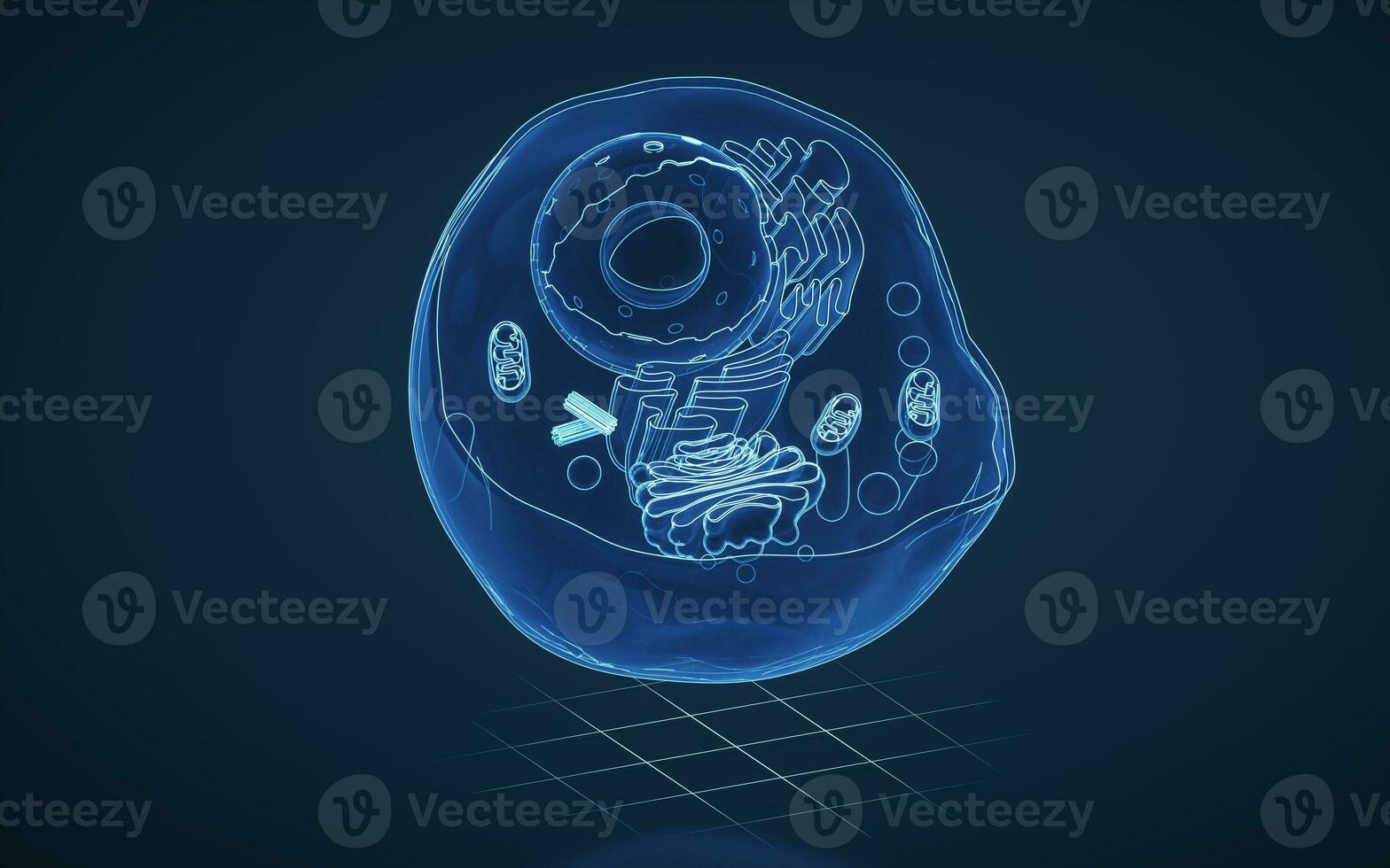 Internal structure of an animal cell, 3d rendering. Section view. photo