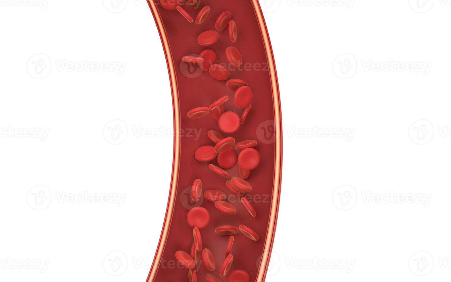 rojo sangre células en el sangre buque, 3d representación. foto