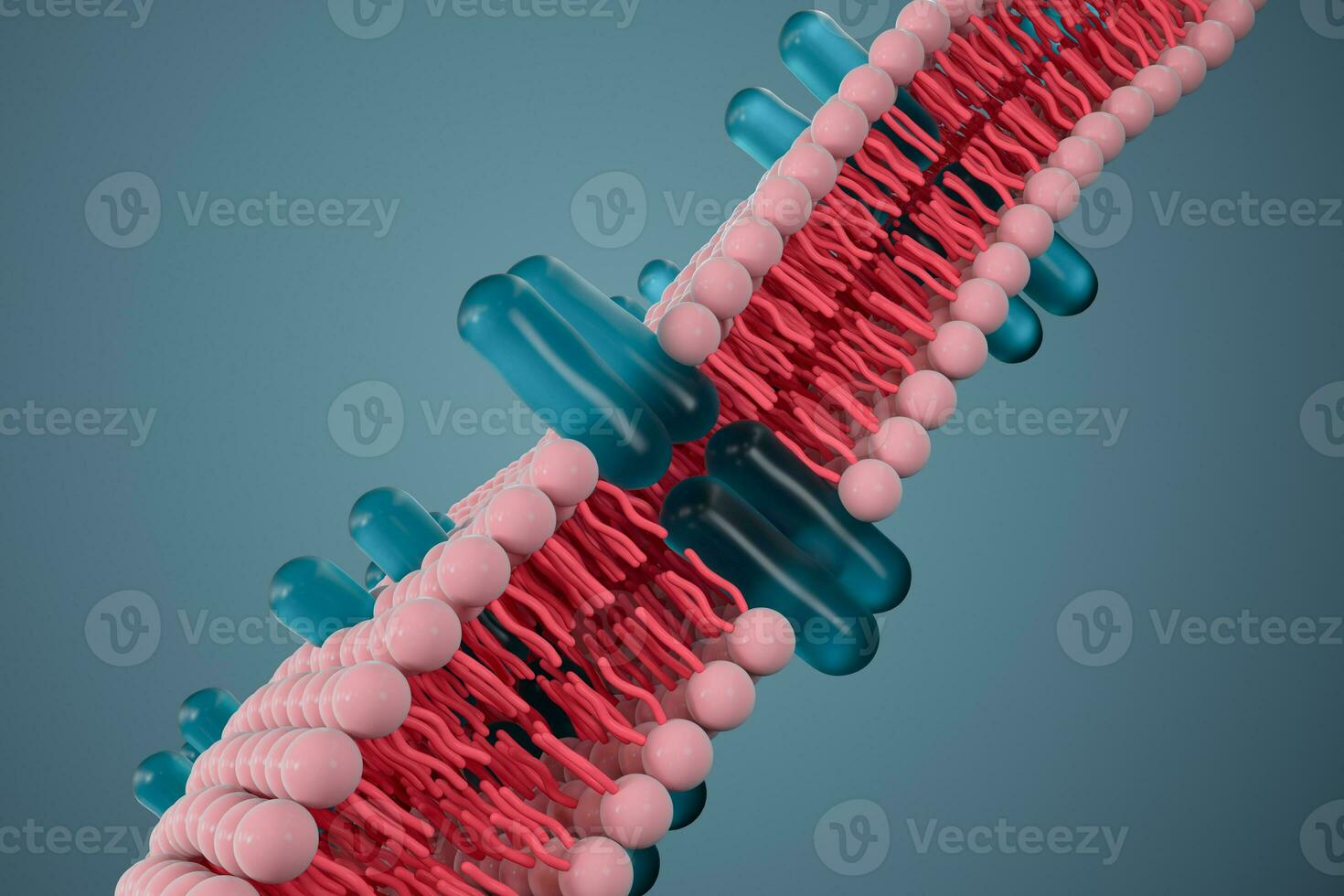 Cell membrane and biology, biological concept, 3d rendering. photo