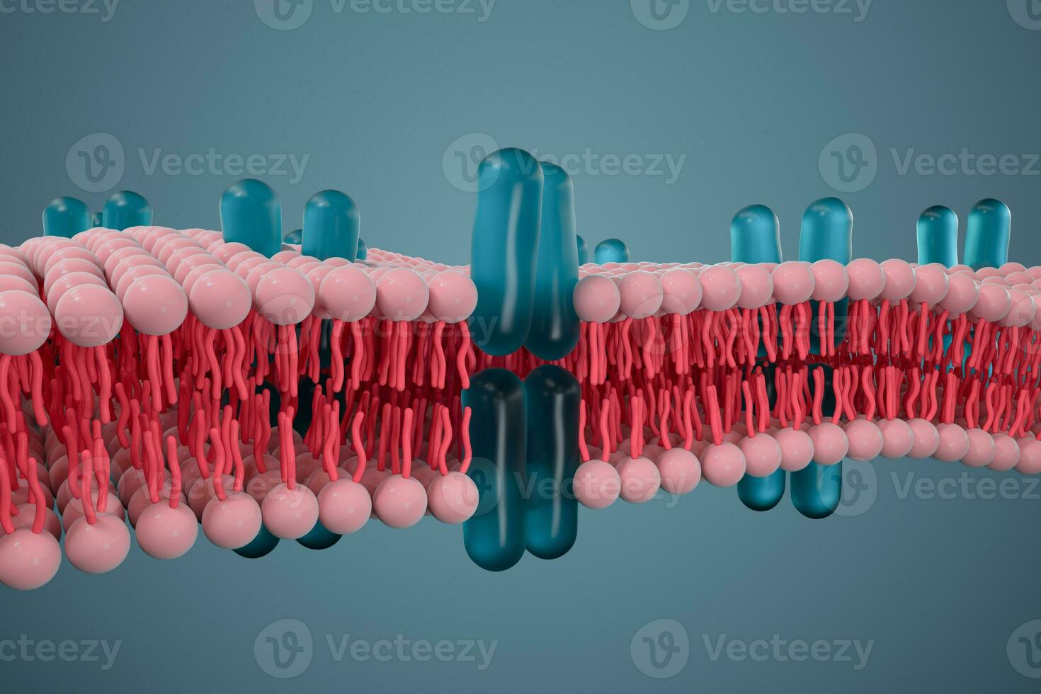 Cell membrane and biology, biological concept, 3d rendering. photo