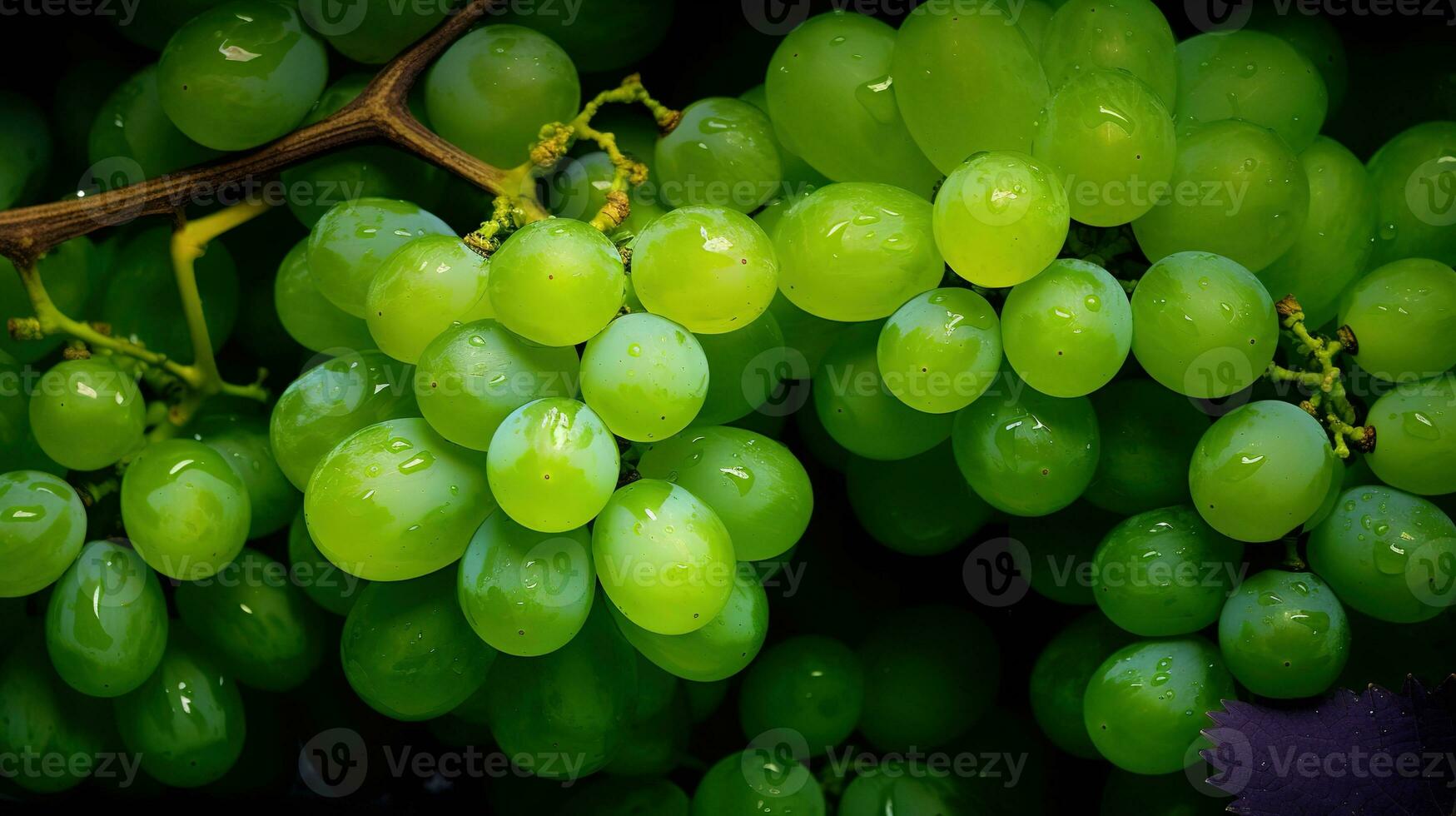 Realistic photo of a bunch of green grapes. top view fruit scenery. AI Generated