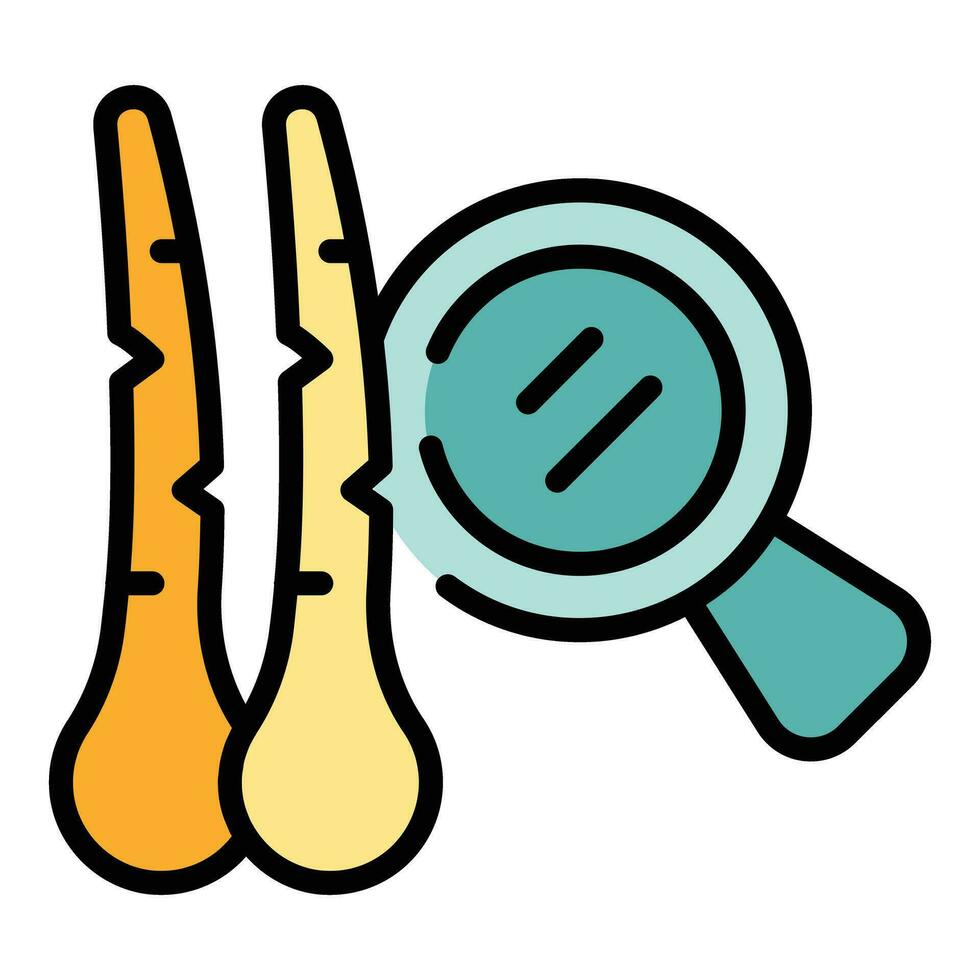 Search hair healthy icon vector flat