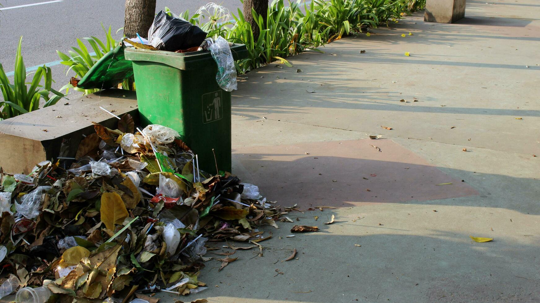 Piles of trash by the side of the park photo