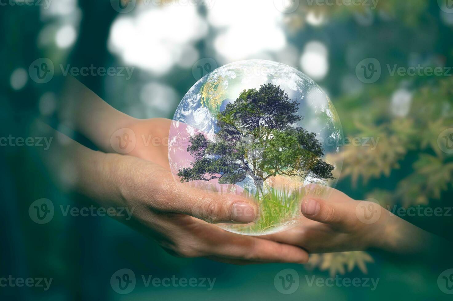 earth day concept senior hands giving small planet earth with tree to a child over defocused green background with copy space, elements of the image furnished by nasa photo