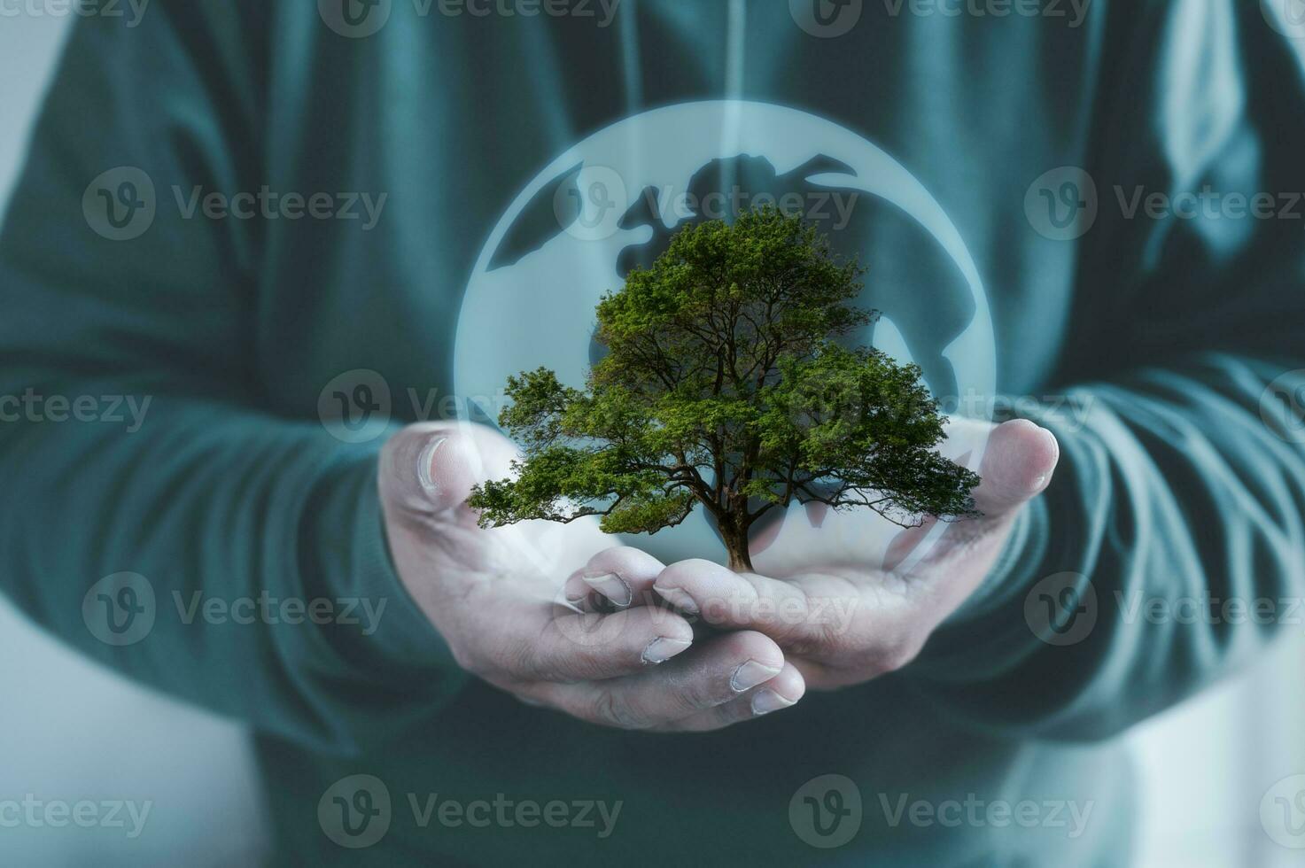 hands holding tree and virtual glob as energy efficiency concept. Renewable energy by 2050 Carbon neutral energy. Net zero carbon, earth day photo