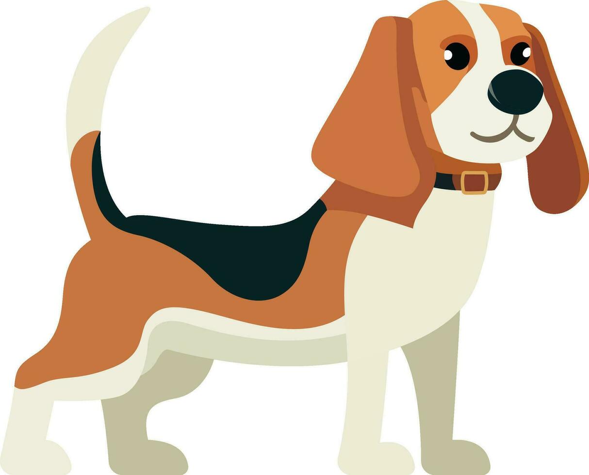 Beagle dog flat style vector illustration, Hunter Beagle dog, Hunting scent hound dog standing position side view stock vector image