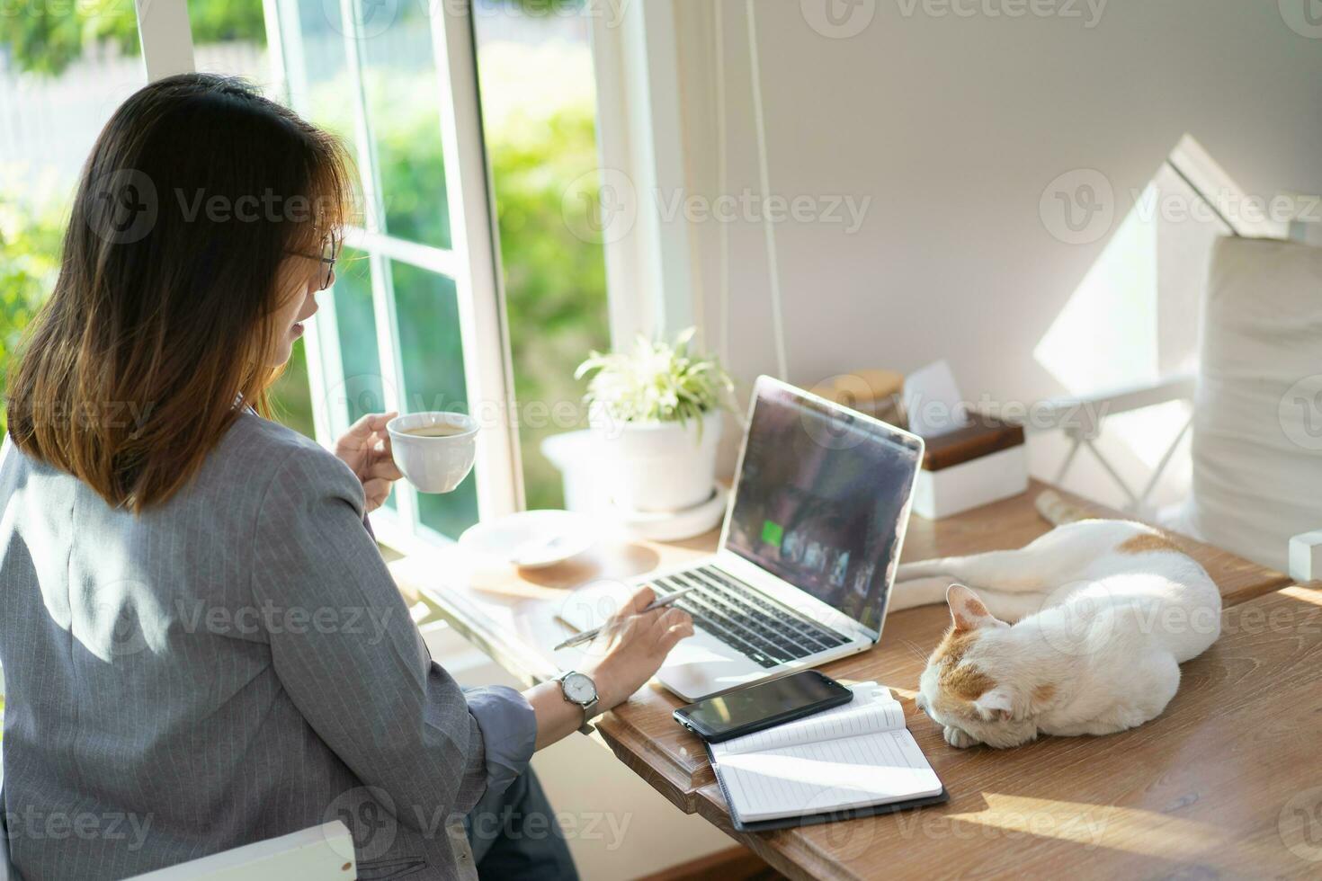 asiático negocio mujer pensando para ideas y utilizando ordenador portátil trabajando en escritorio en el cafetería. negocio mujer trabajo y jugar con blanco gato en el mesa. foto