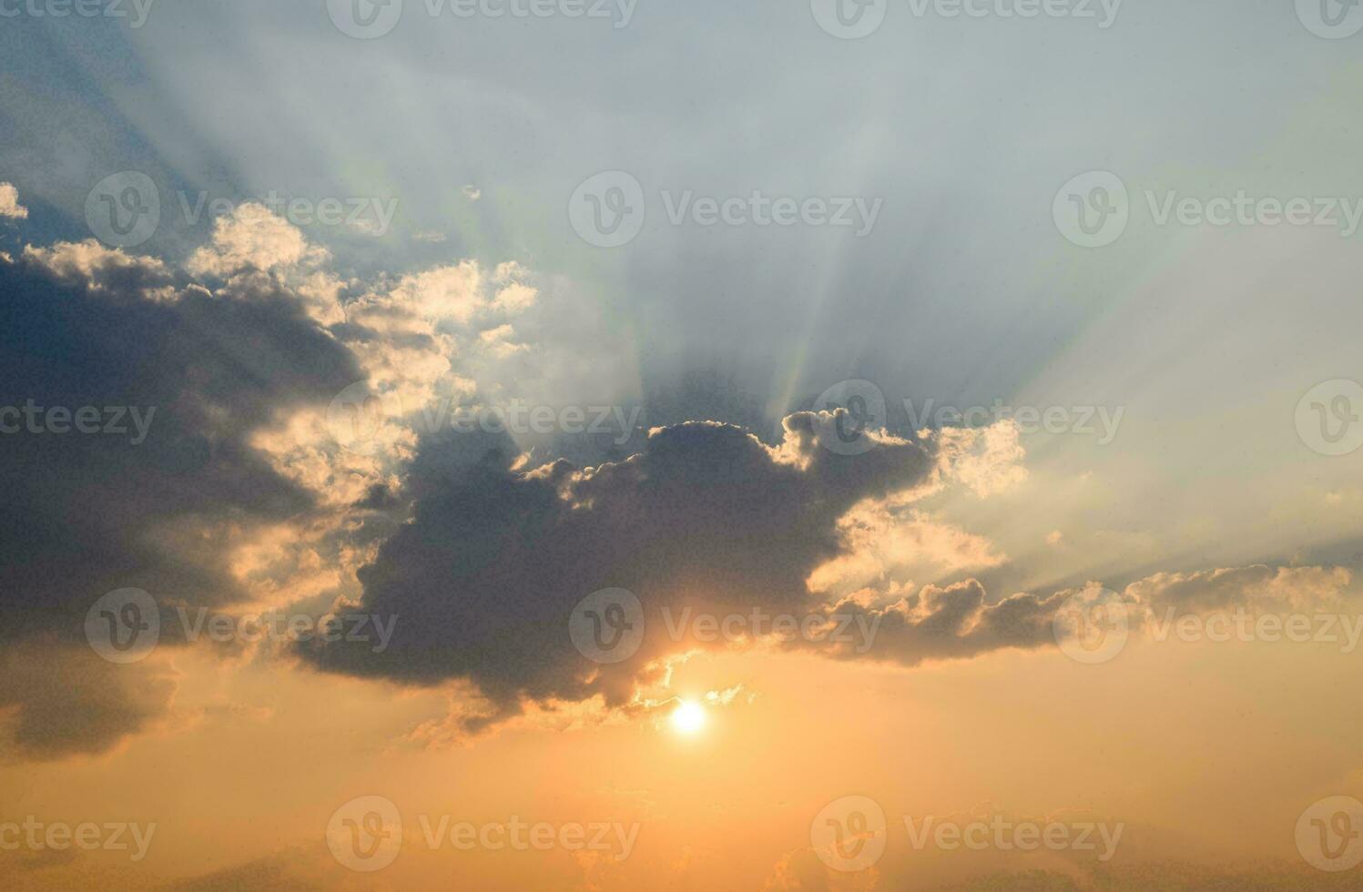 Tropical sea sunset tree sky view background photo