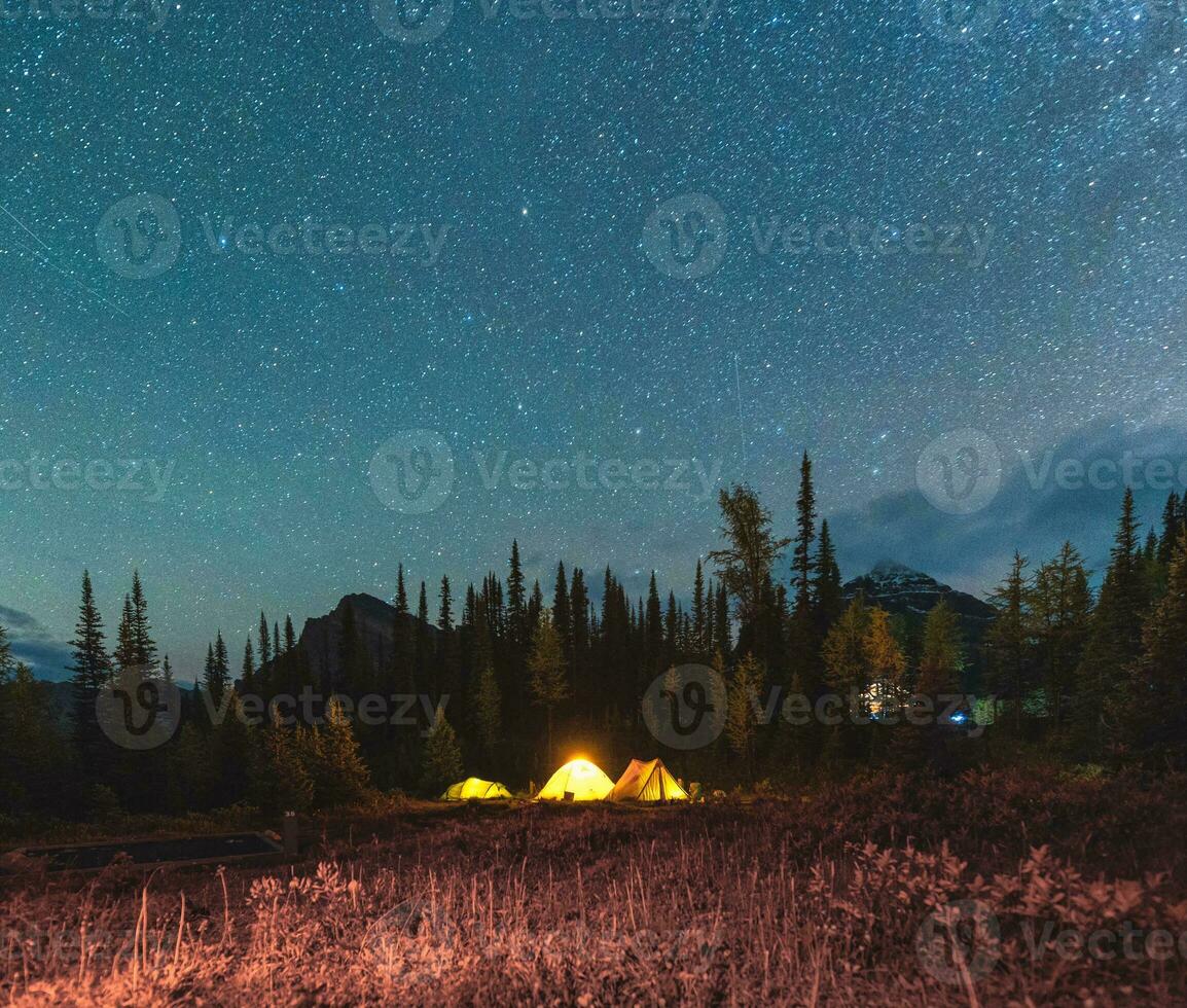 cámping tienda con estrellado debajo el noche cielo en el bosque en cámping a nacional parque foto
