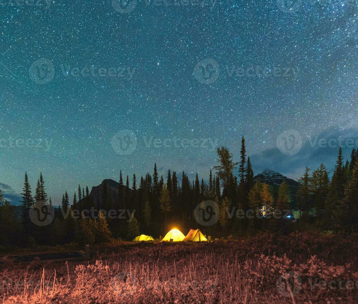 Camping tent with starry under the night sky in the forest