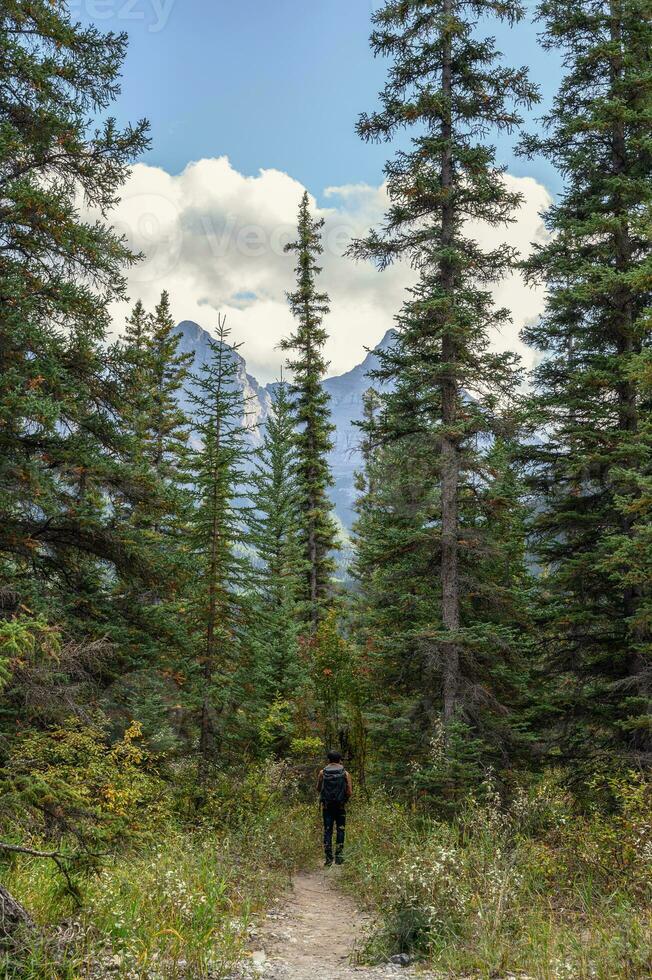 Man traveler walking in the forest with mountain at national park photo