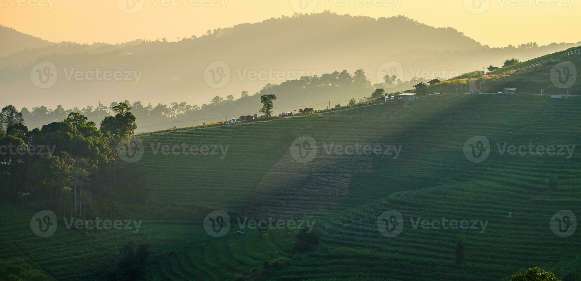 Fields staircase light shining evening time photo