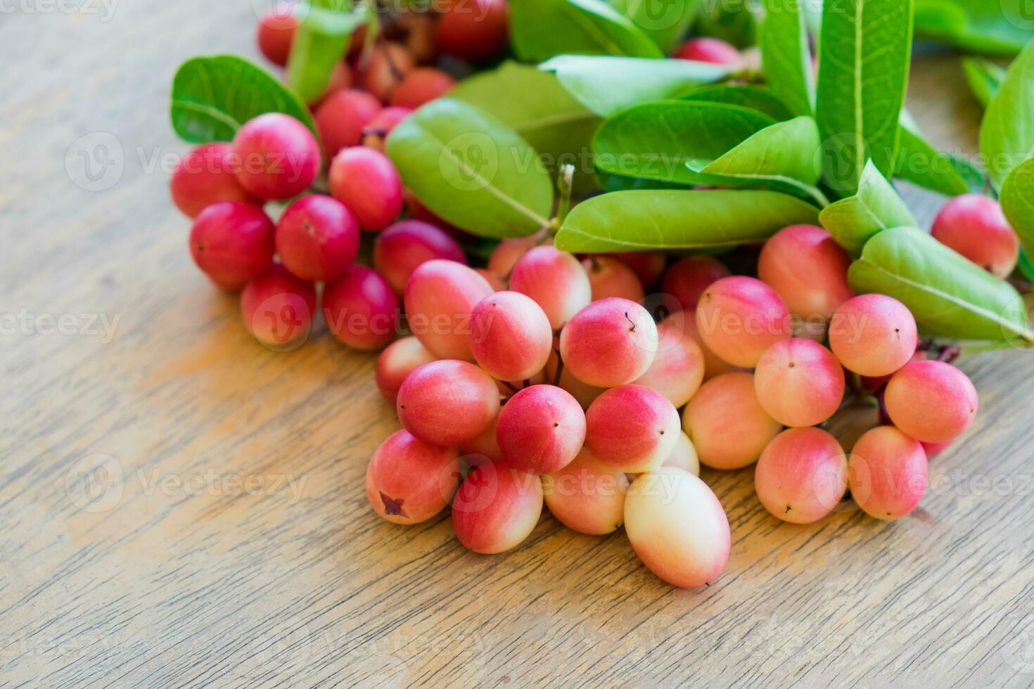 Carunda,Karonda,Carissa carandas,Apocynaceae, fruit red seed nutritious photo