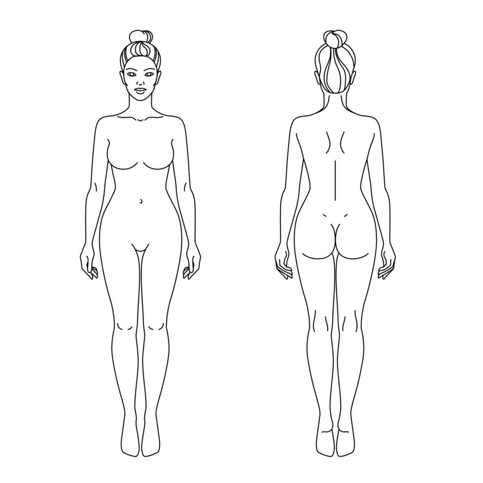 mujer cuerpo frente y espalda ver vector ilustración. aislado contorno línea contorno modelo niña sin ropa. anatomía de sano hembra cuerpo formas hembra figura vector humano cuerpo en lineal estilo.