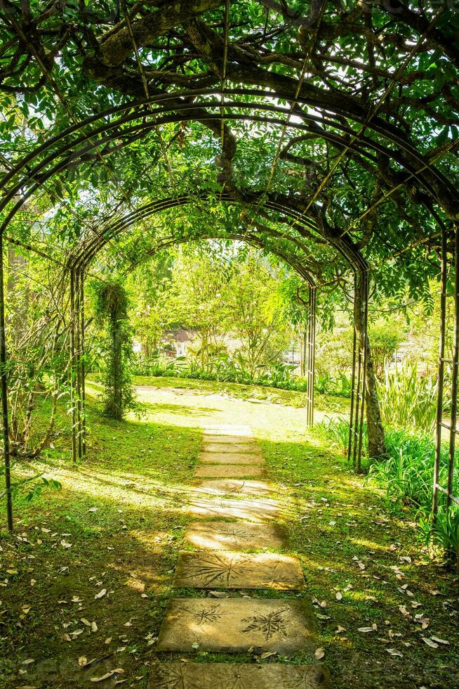 Arch green soft natural pathway photo