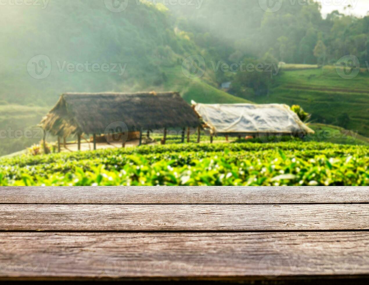 Table top on tea plantation and pavilion photo