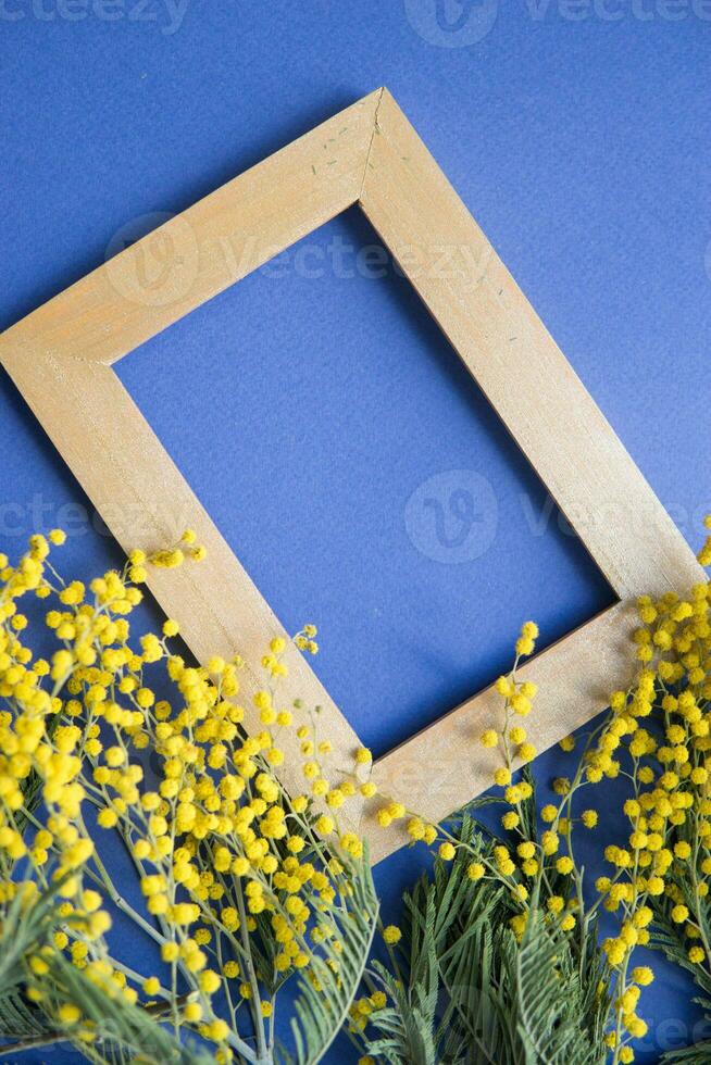 Spring concert. Mimosa and gold frame on blue background. Mimosa close-up. Happy spring. photo