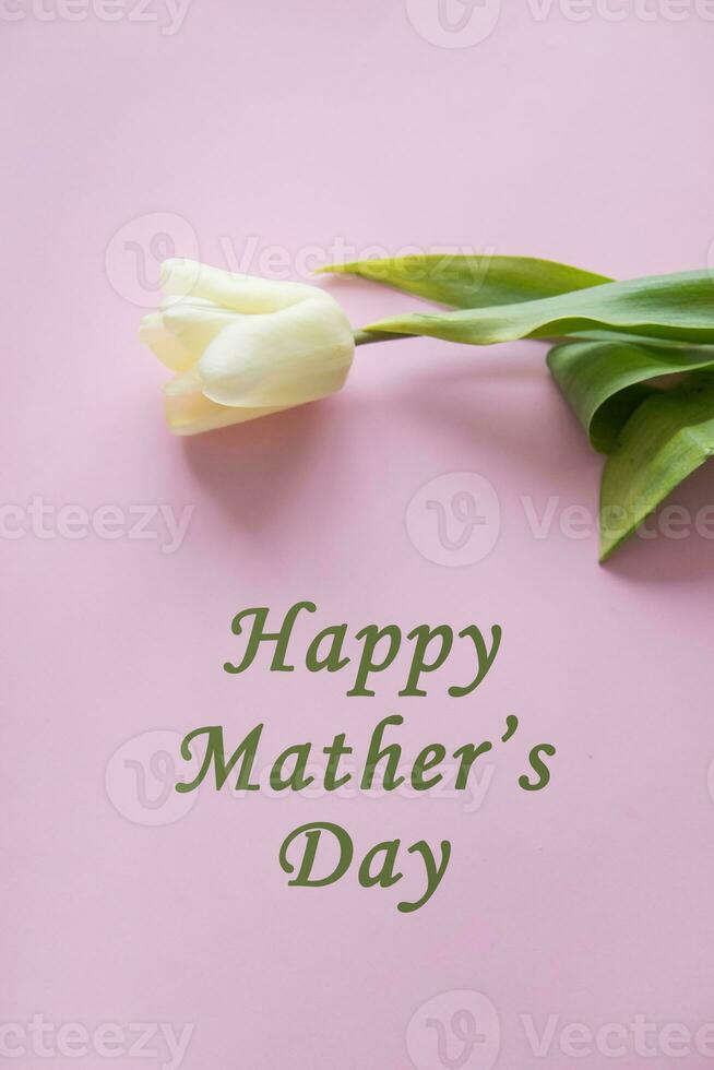 Yellow Tulip flower are arranged on a pink background. The view from the top, flat bed. The concept of minimalism. Empty space for the text. Spring concept. Women's day. Mother's day. photo