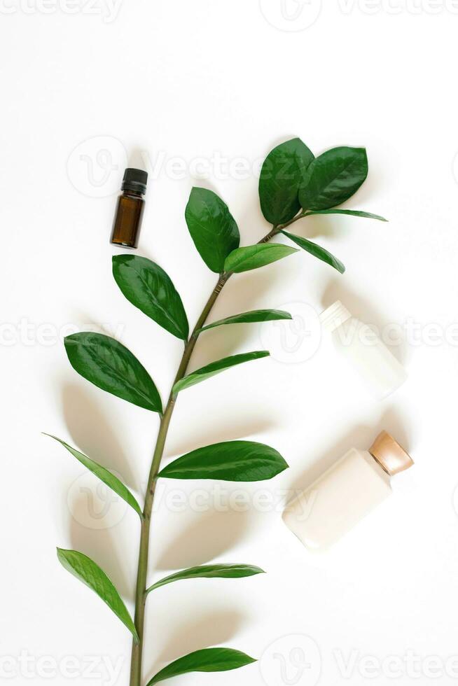 Flat lay the composition with a branch of zamiokulkas and bottles of body or face cream, a glass brown bottle of aromatic oil on a white background. Concept of Spa treatments and organic cosmetics photo