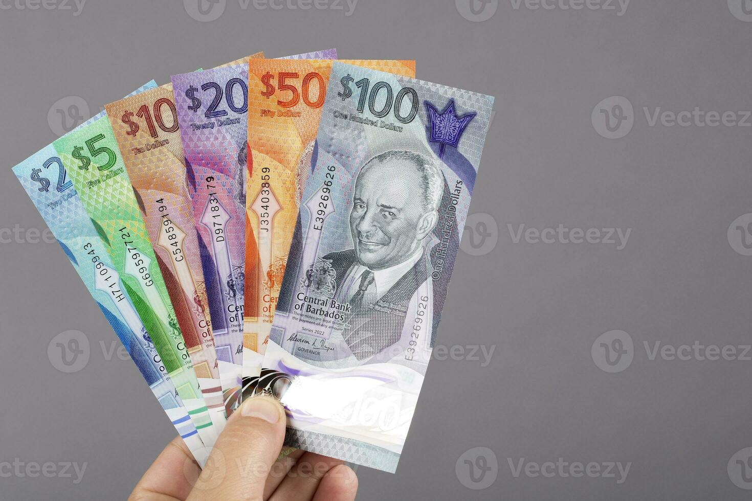 Barbadian money in the hand on a gray background photo