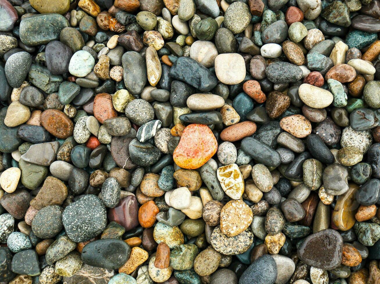 Beautiful wet colorful pebbles background. photo