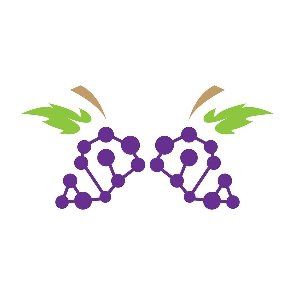 Grape Logo, Garden Vector, Fresh Purple Fruit, Wine Brand Design, Simple Illustration Template vector