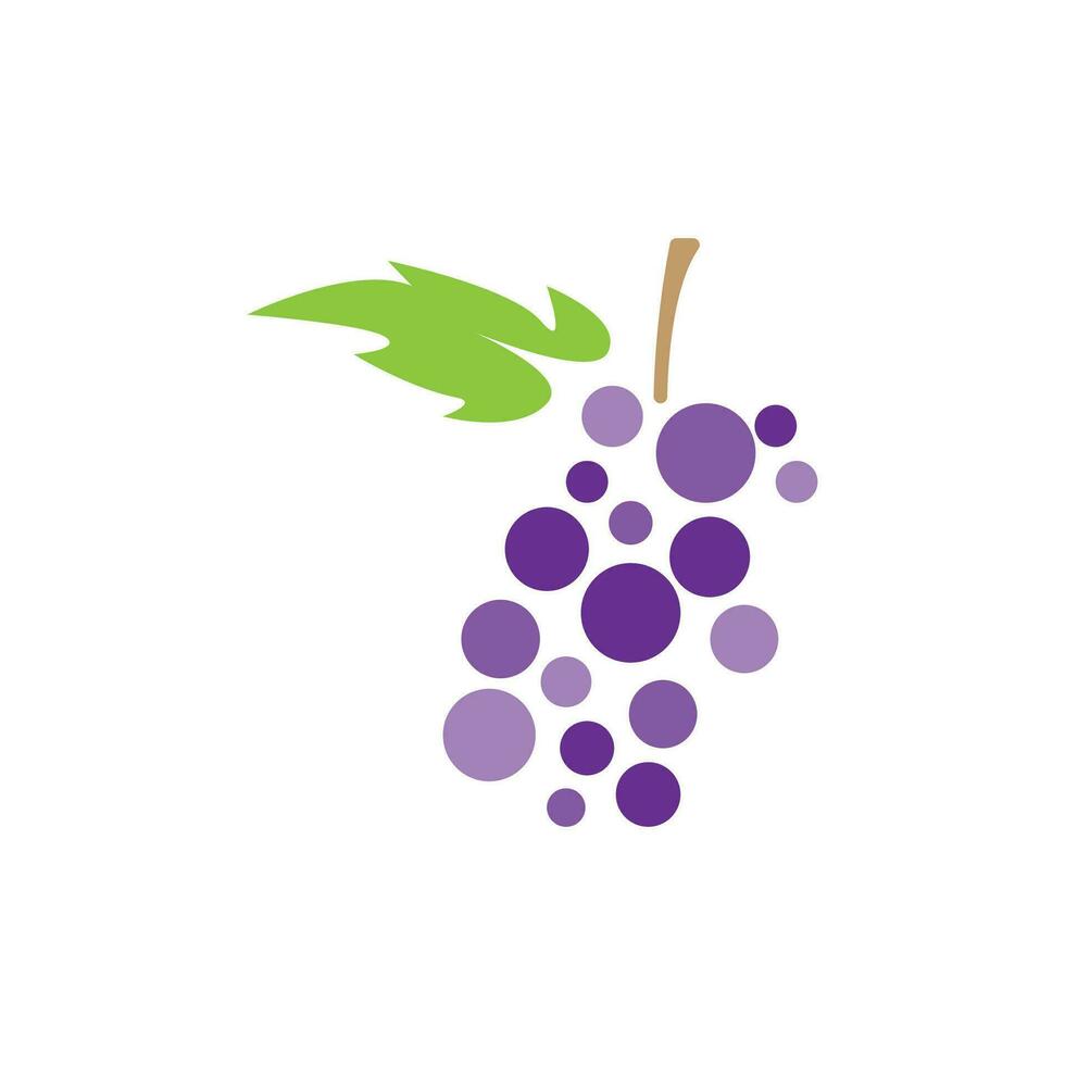 Grape Logo, Garden Vector, Fresh Purple Fruit, Wine Brand Design, Simple Illustration Template vector