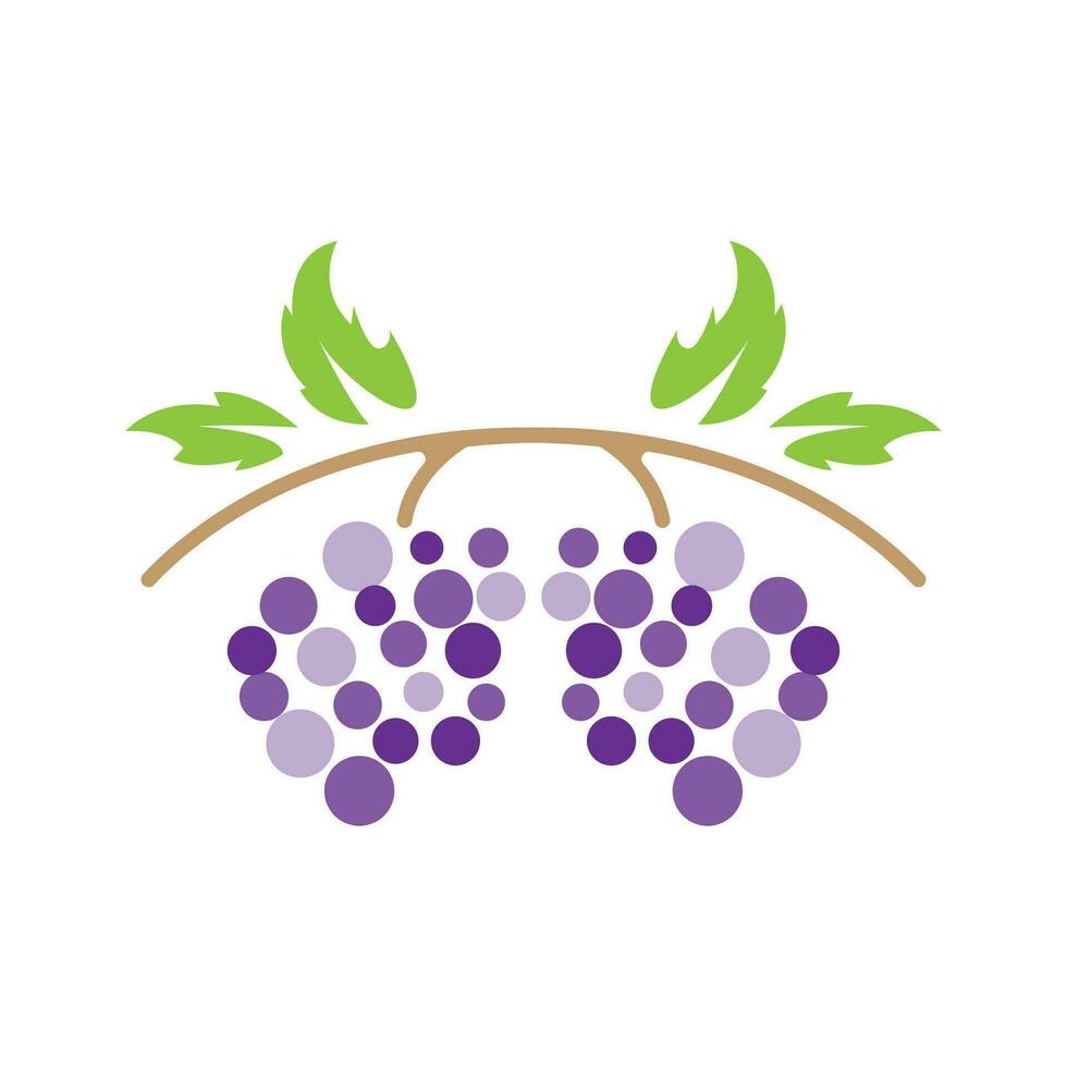 Grape Logo, Garden Vector, Fresh Purple Fruit, Wine Brand Design, Simple Illustration Template vector