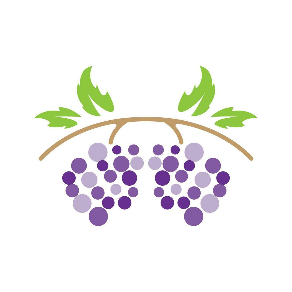 Grape Logo, Garden Vector, Fresh Purple Fruit, Wine Brand Design, Simple Illustration Template vector