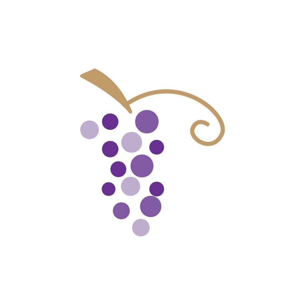 Grape Logo, Garden Vector, Fresh Purple Fruit, Wine Brand Design, Simple Illustration Template vector