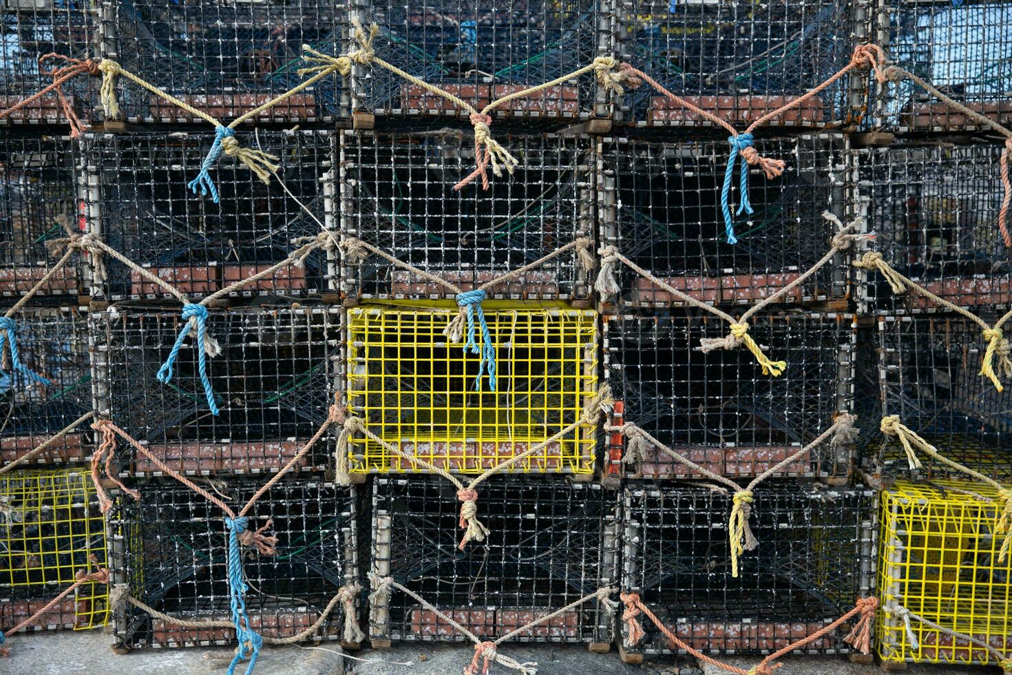 Lobster and Crab Traps photo