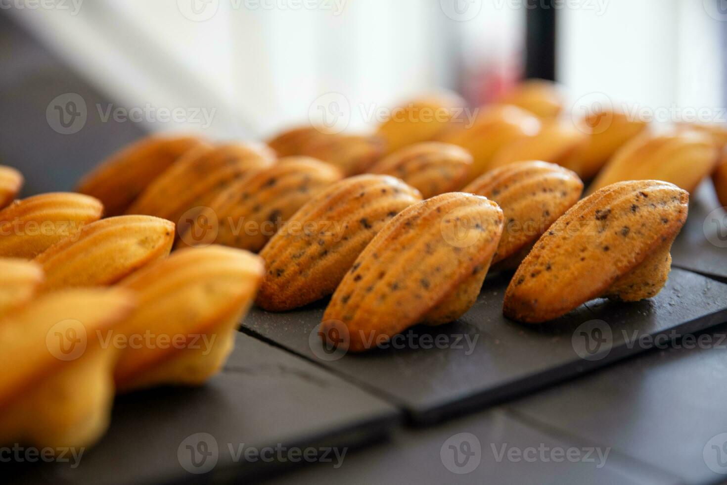 Freshly made Madeleines photo