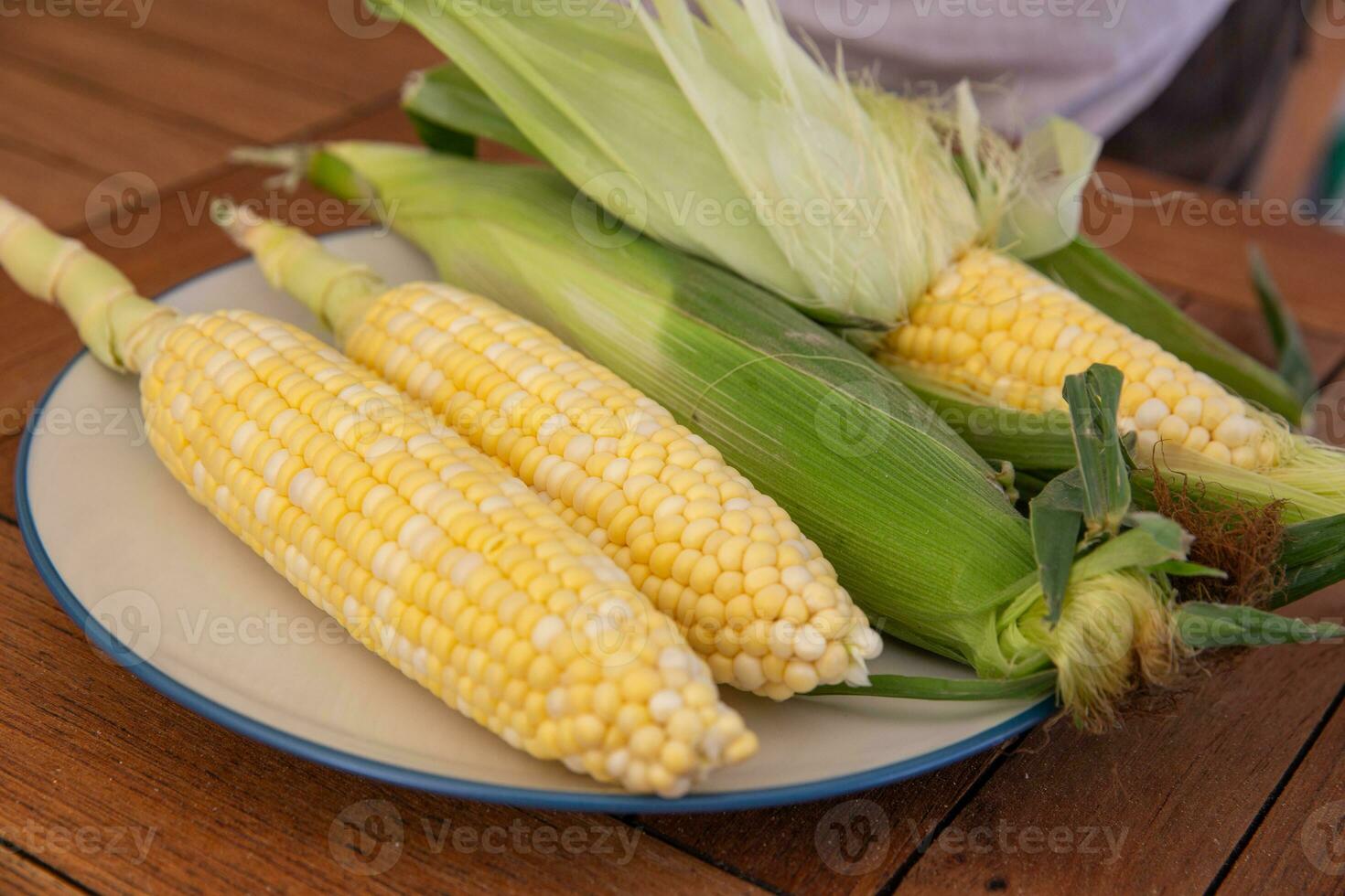 Fresh corn on the cobs photo