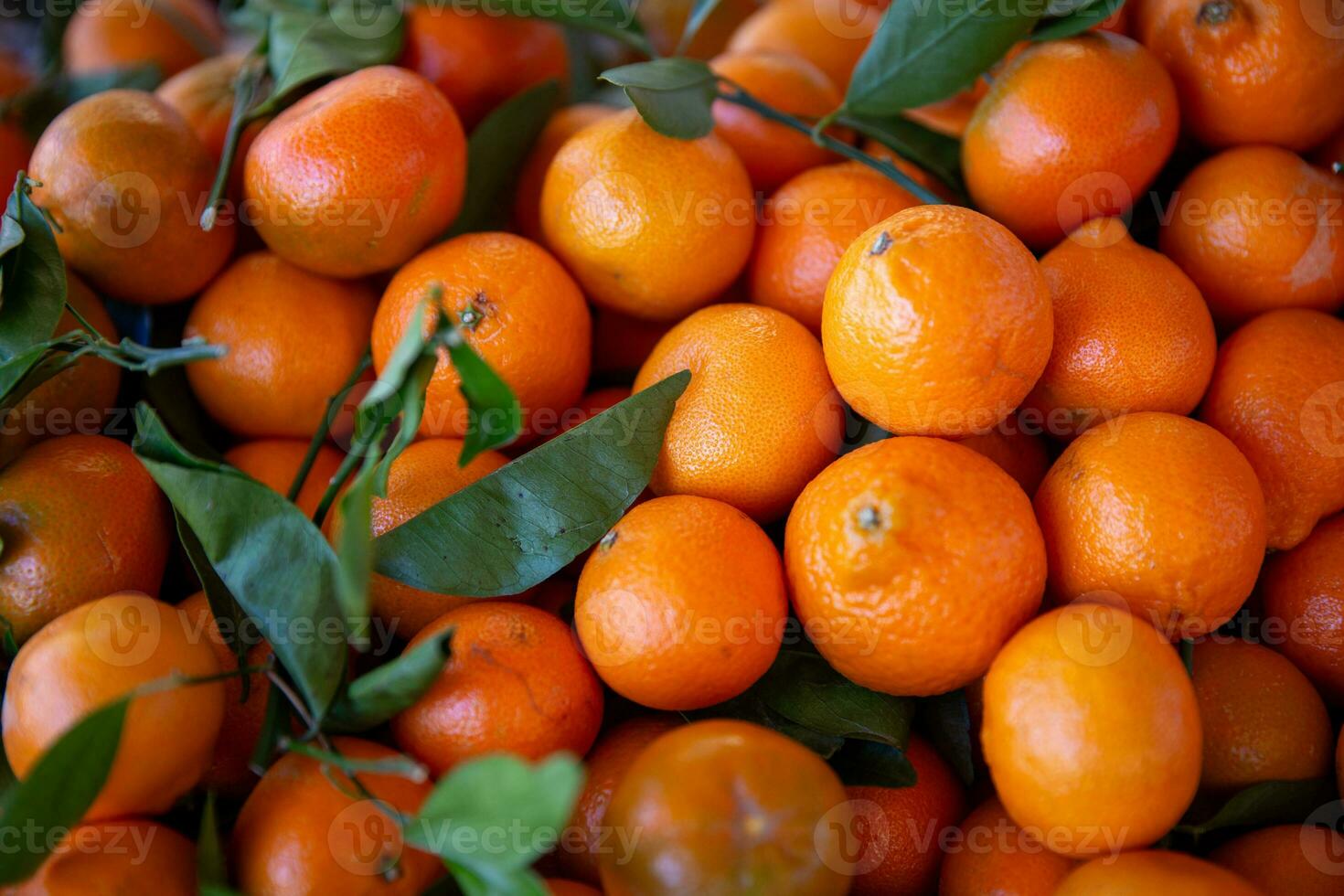 Bunch of Tangerines photo