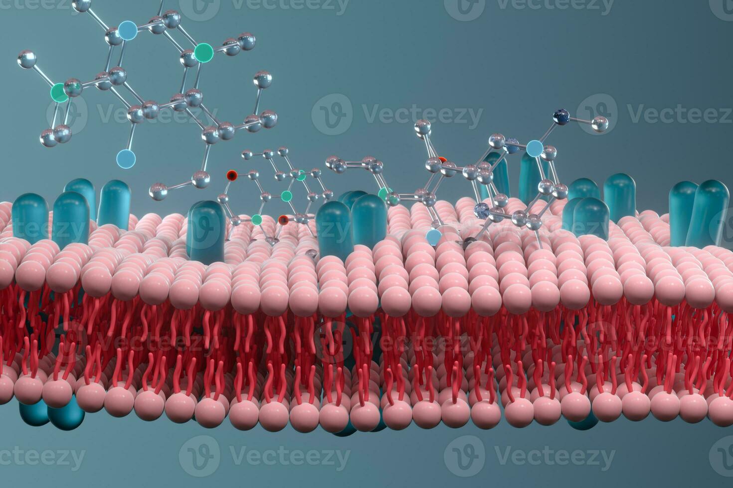 Cell membrane and biology, biological concept, 3d rendering. photo