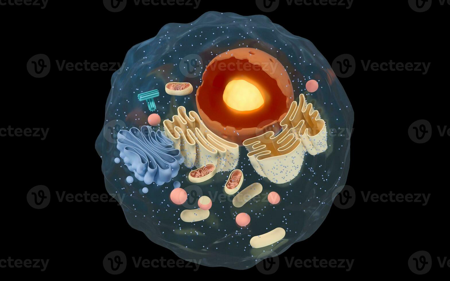 interno estructura de un animal celúla, 3d representación. sección vista. foto