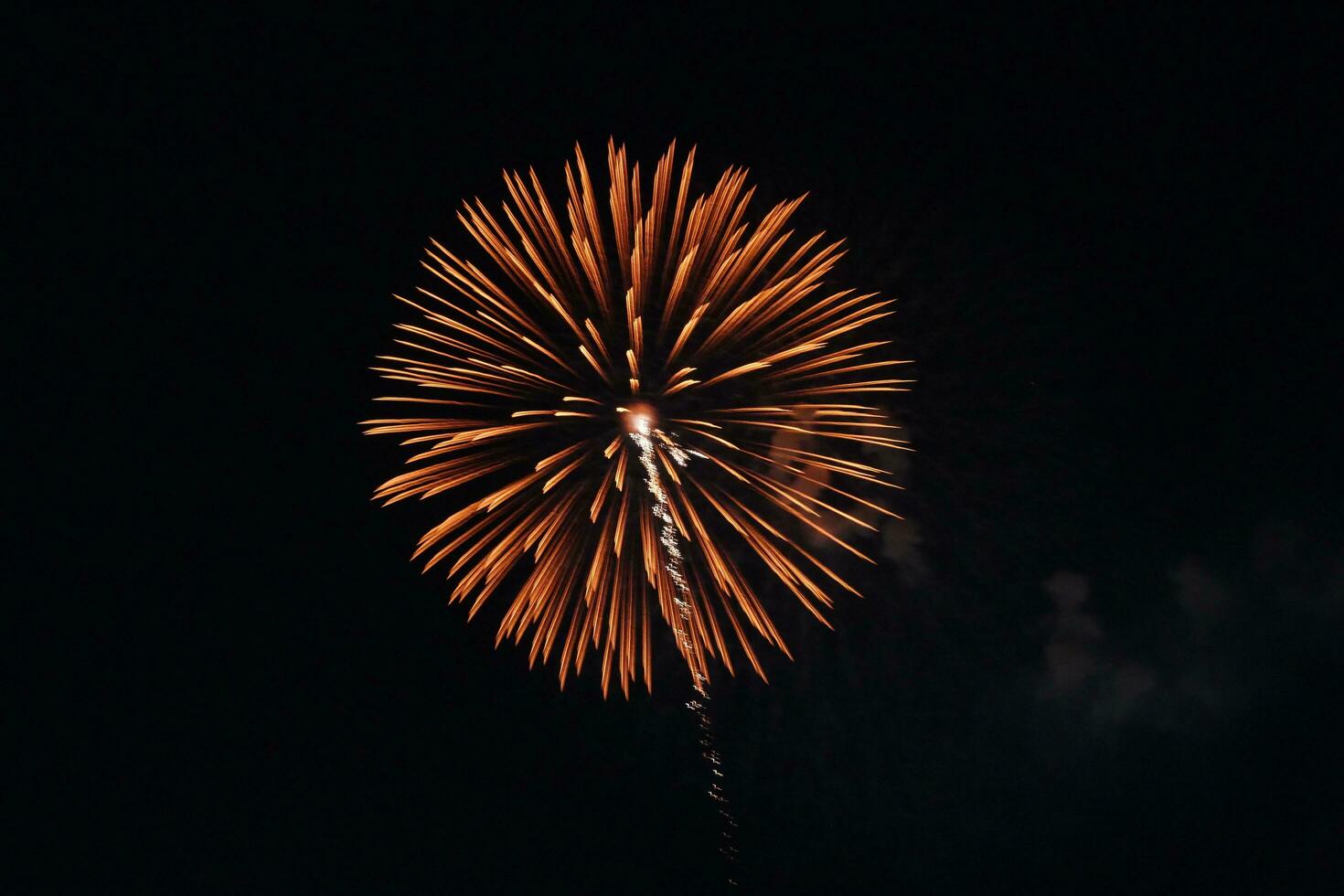 fireworks over the water photo