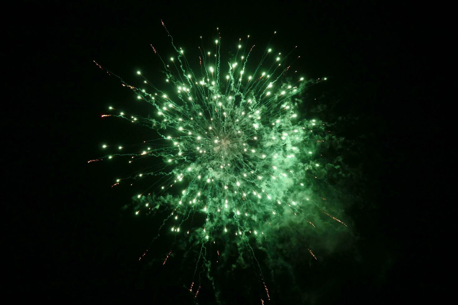 a green firework is lit up in the dark sky photo